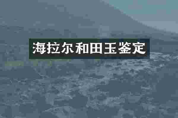 海拉尔和田玉鉴定