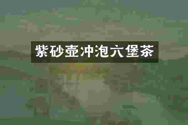 紫砂壶冲泡六堡茶