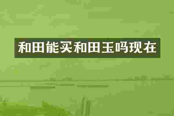 和田能买和田玉吗现在