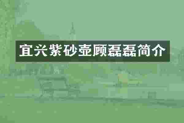 宜兴紫砂壶顾磊磊简介