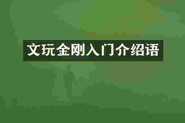 文玩金刚入门介绍语