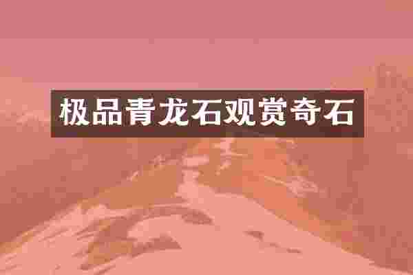 青龙石观赏奇石