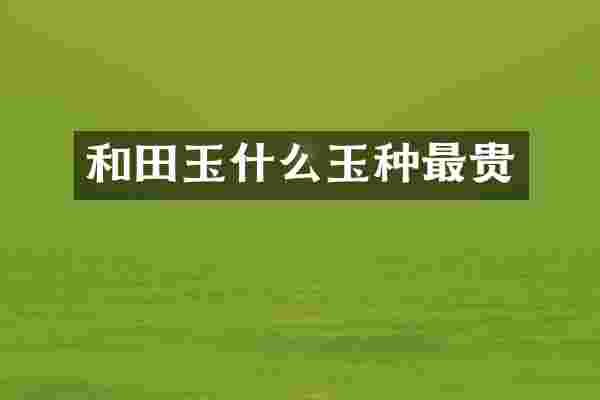和田玉什么玉种最贵