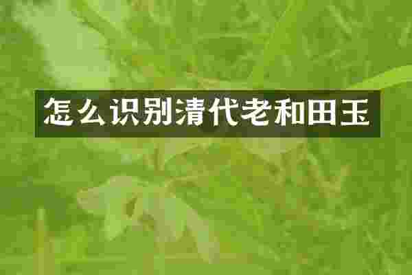 怎么识别清代老和田玉