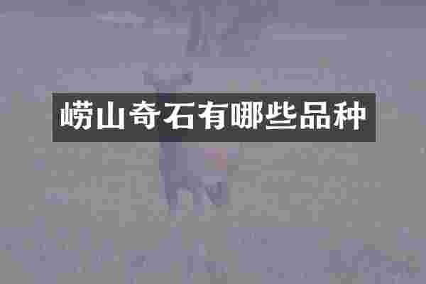 崂山奇石有哪些品种