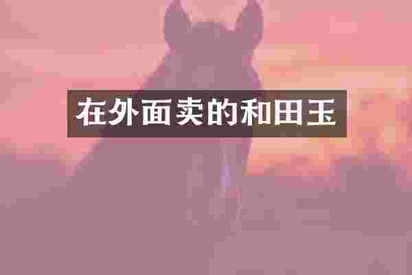 在外面卖的和田玉