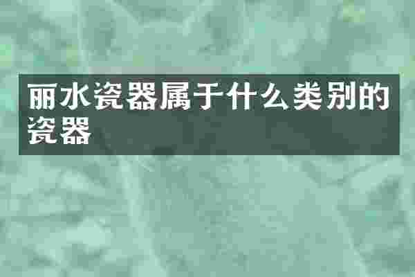 丽水瓷器属于什么类别的瓷器
