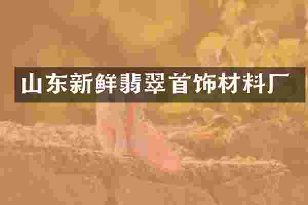 山东新鲜翡翠首饰材料厂