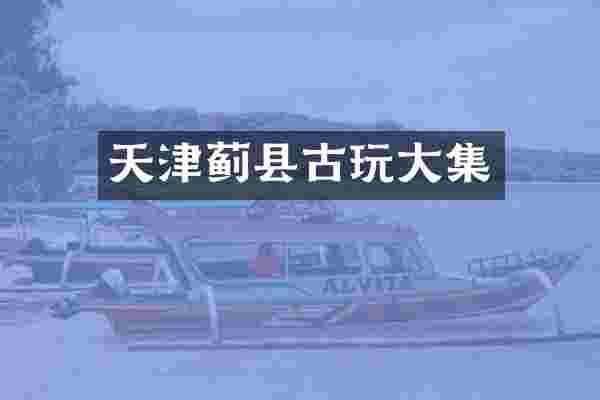 天津蓟县古玩大集