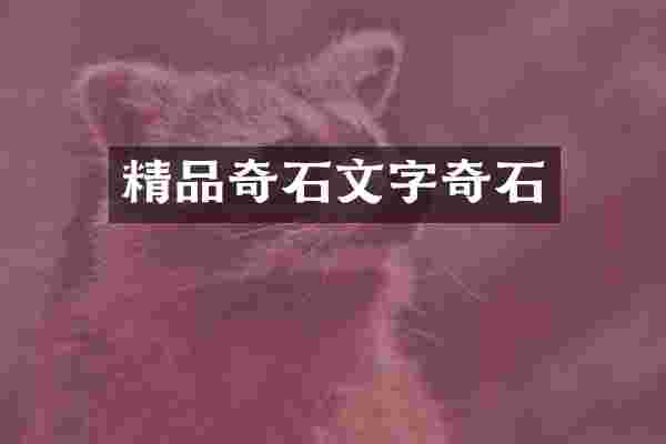 精品奇石文字奇石