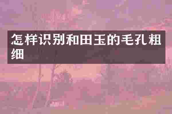 怎样识别和田玉的毛孔粗细