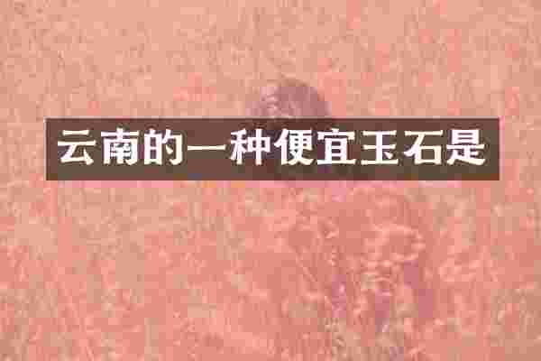 云南的一种便宜玉石是