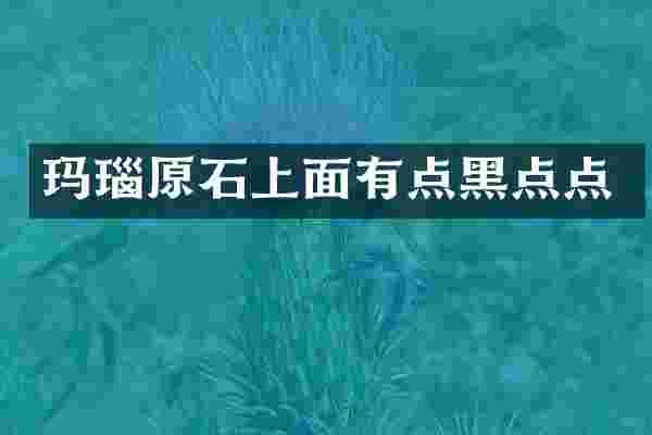 玛瑙原石上面有点黑点点