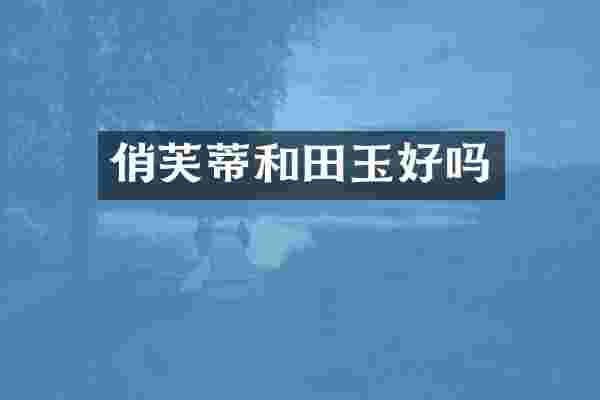 俏芙蒂和田玉好吗