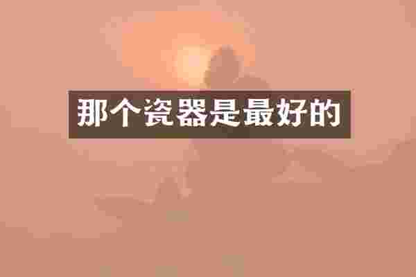 那个瓷器是最好的