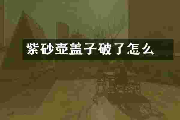 紫砂壶盖子破了怎么俢