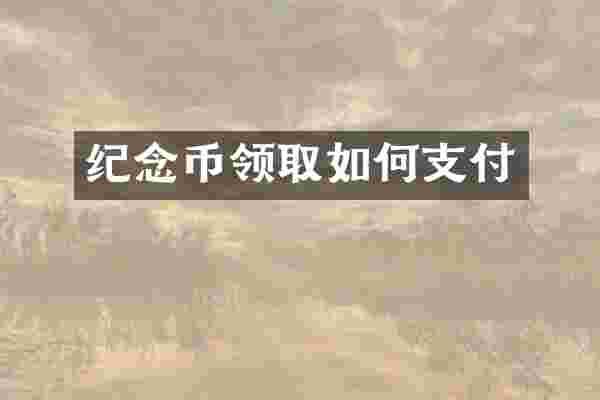 纪念币领取如何支付