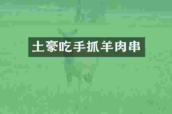 土豪吃手抓羊肉串
