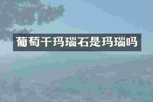 葡萄干玛瑙石是玛瑙吗