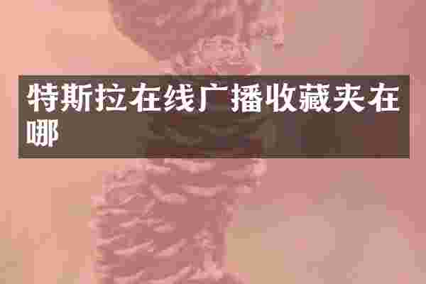 特斯拉在线广播收藏夹在哪