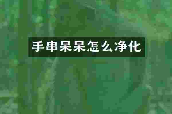 手串呆呆怎么净化