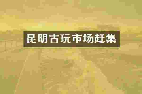 昆明古玩市场赶集