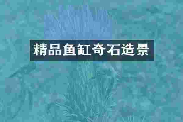 精品鱼缸奇石造景