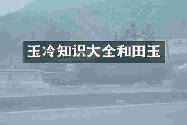玉冷知识大全和田玉