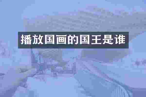 播放国画的国王是谁