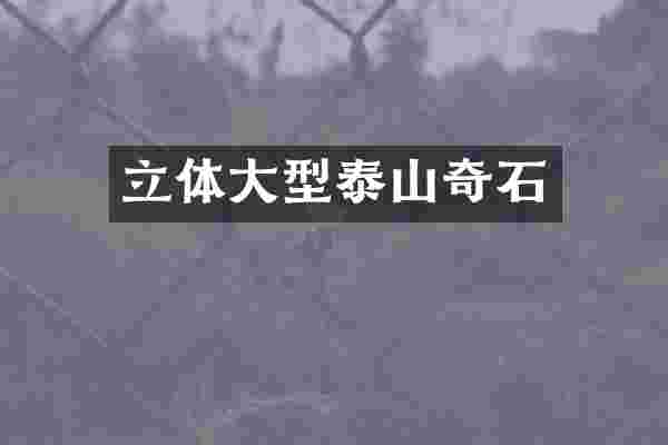 立体大型泰山奇石
