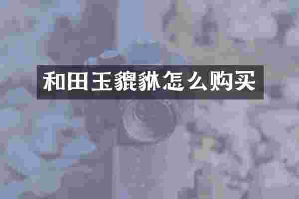 和田玉貔貅怎么购买