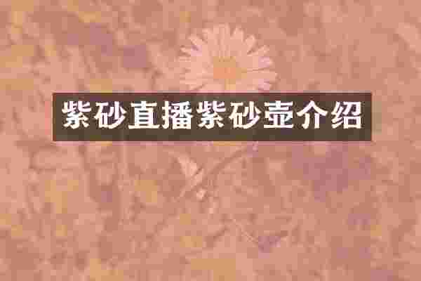 紫砂直播紫砂壶介绍