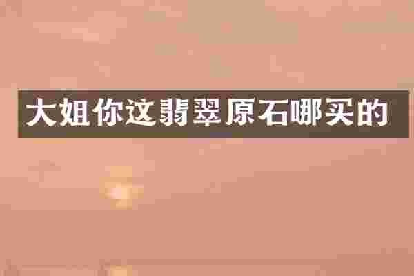 大姐你这翡翠原石哪买的