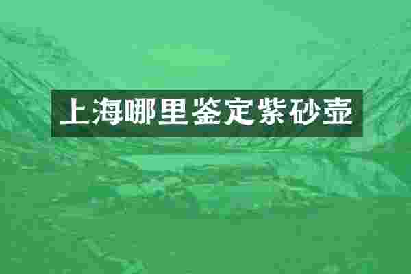 上海哪里鉴定紫砂壶