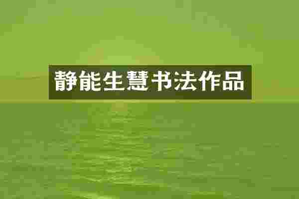 静能生慧书法作品