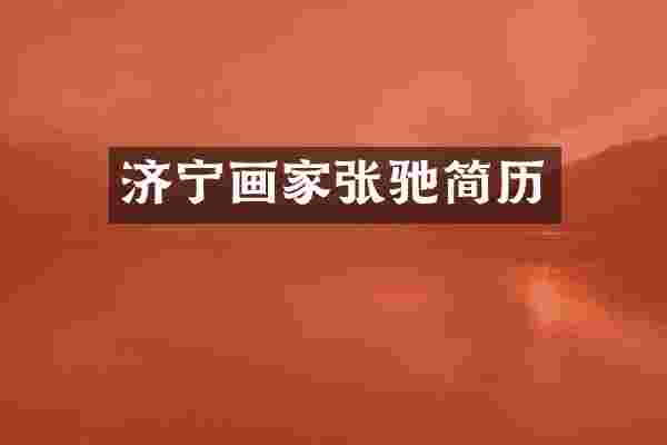 济宁画家张驰简历