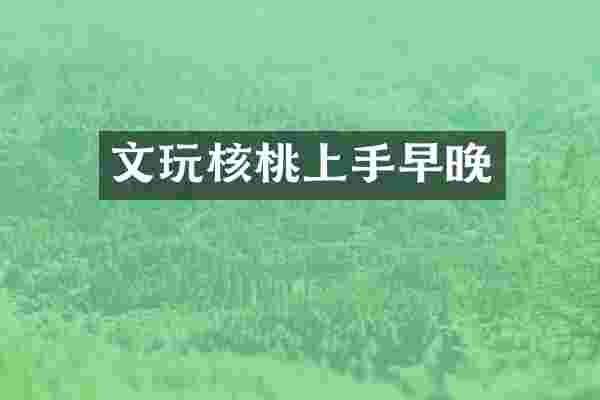 文玩核桃上手早晚
