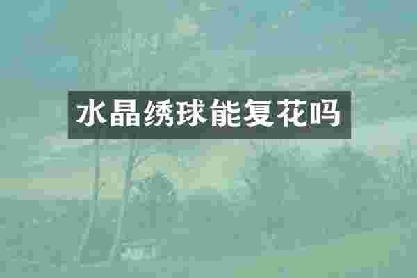 水晶绣球能复花吗