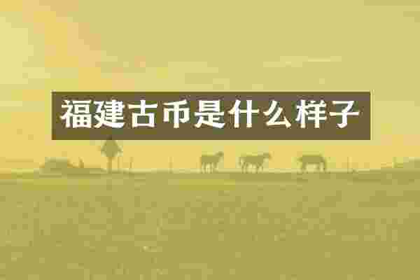福建古币是什么样子