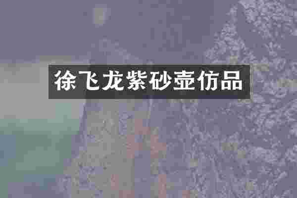 徐飞龙紫砂壶仿品