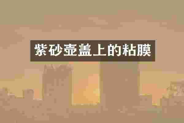 紫砂壶盖上的粘膜