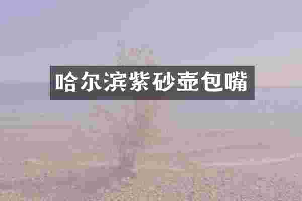 哈尔滨紫砂壶包嘴