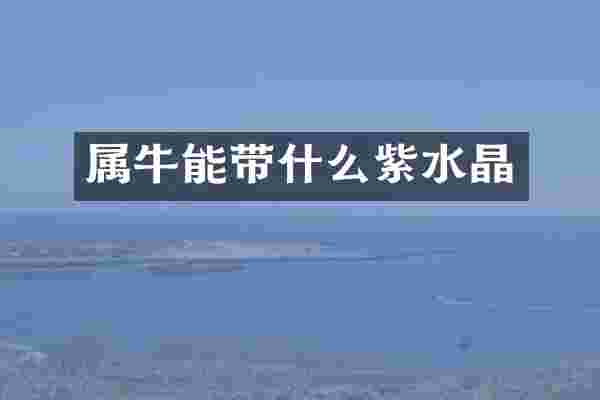 属牛能带什么紫水晶