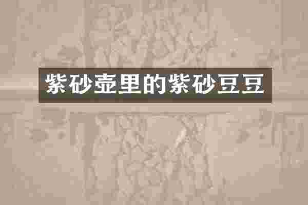 紫砂壶里的紫砂豆豆