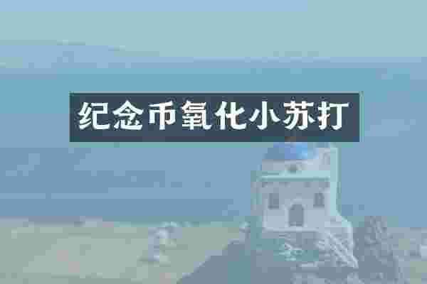 纪念币氧化小苏打