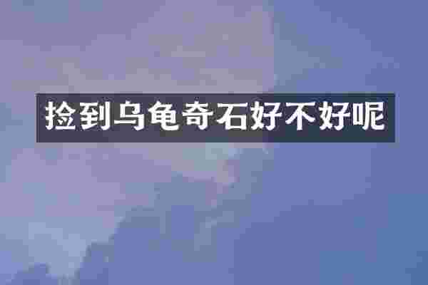 捡到乌龟奇石好不好呢