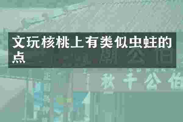 文玩核桃上有类似虫蛀的点