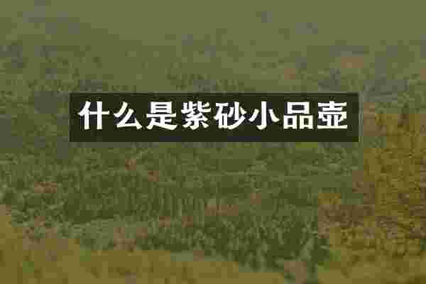 什么是紫砂小品壶