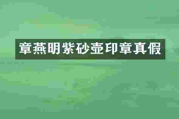 章燕明紫砂壶印章真假