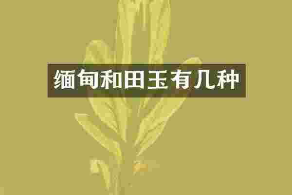 缅甸和田玉有几种